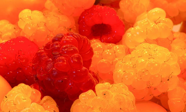 他们在比赛 他们在比赛