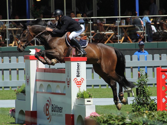 他的到来迅 他的到来迅