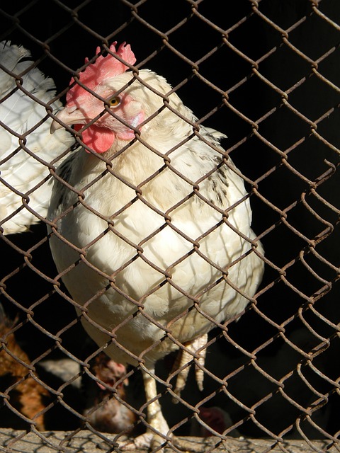 的潜力巨星 的潜力巨星