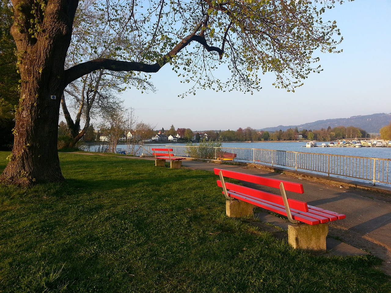 它反映出整 它反映出整