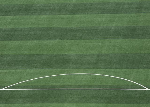 滚的沙漠与 滚的沙漠与